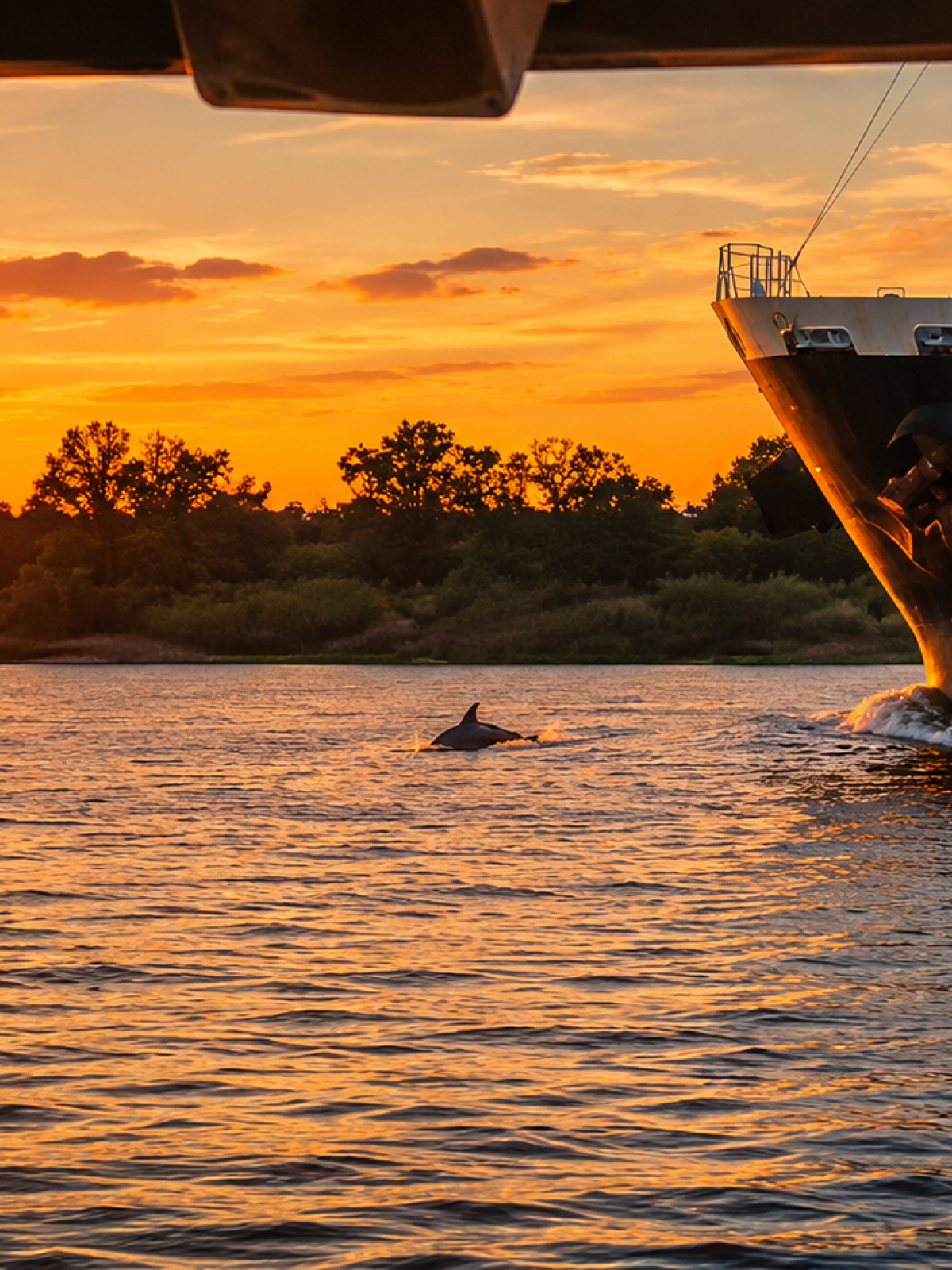 Ship on water at sunset with dolphin fin visible.