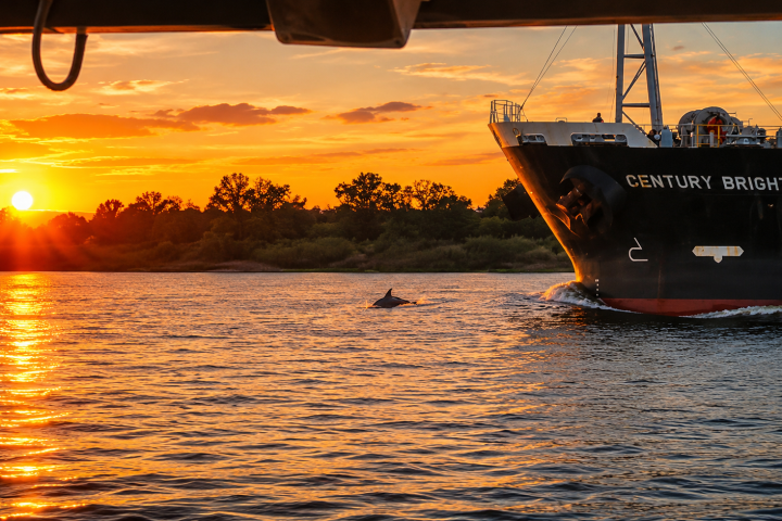Ship on water at sunset with dolphin fin visible.
