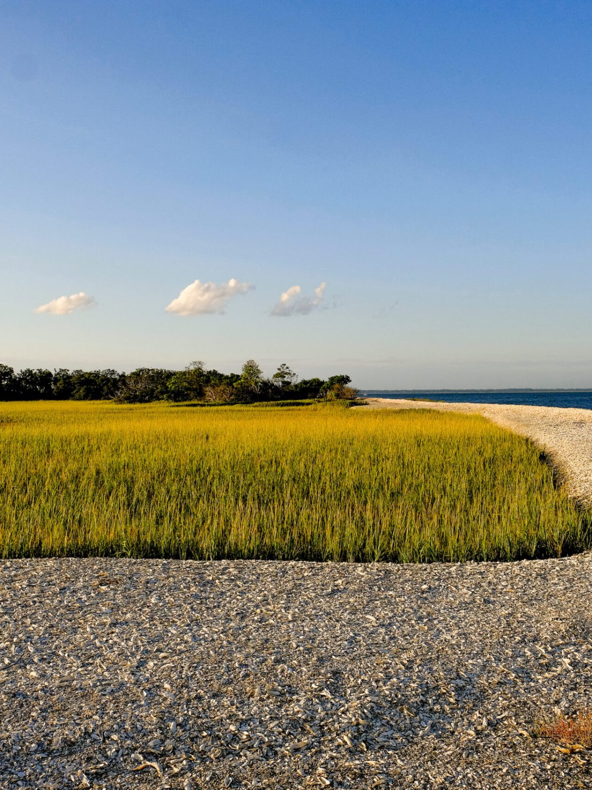 Lowcountry landscape of the Georgia Coast