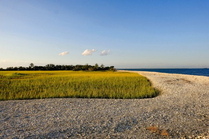 Lowcountry landscape of the Georgia Coast
