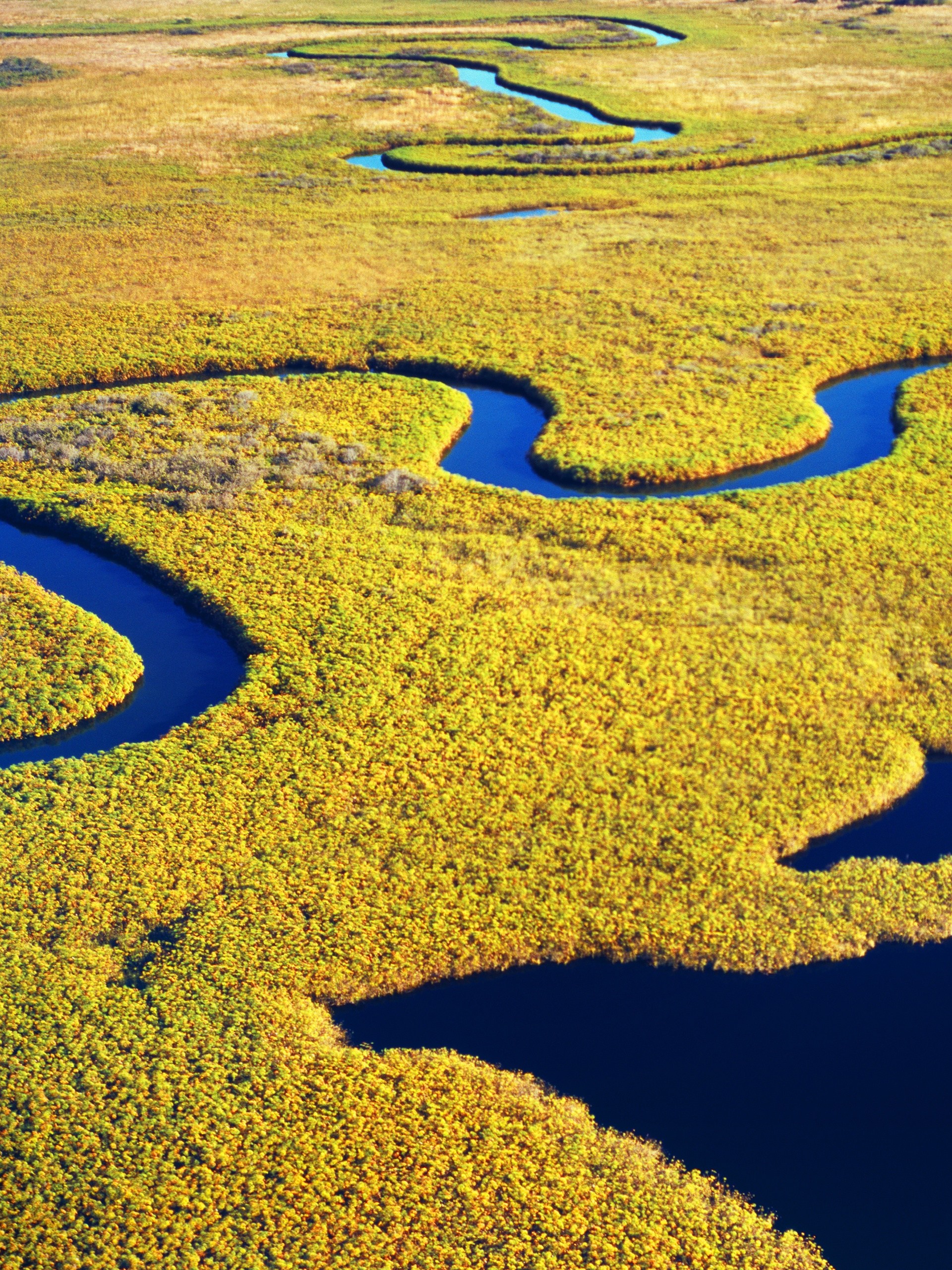 a marsh in Savannah, Georgia