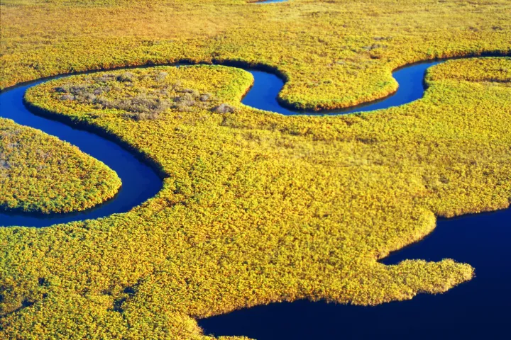 a marsh in Savannah, Georgia