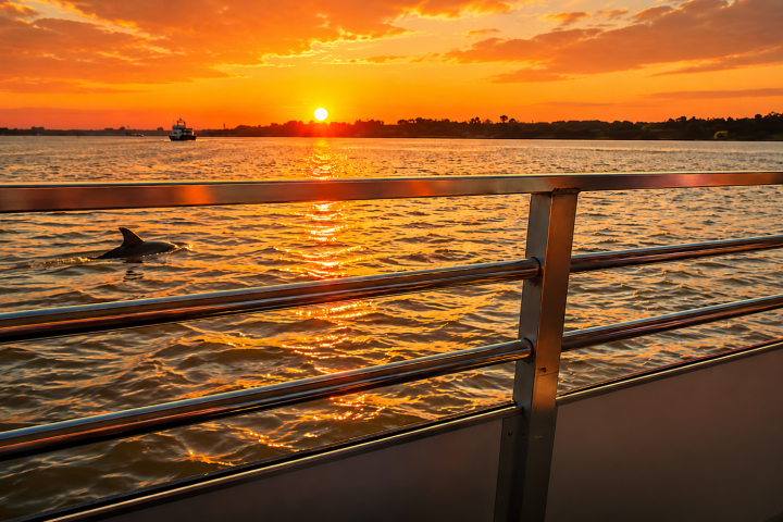 Sunset over water with dolphin near railing.
