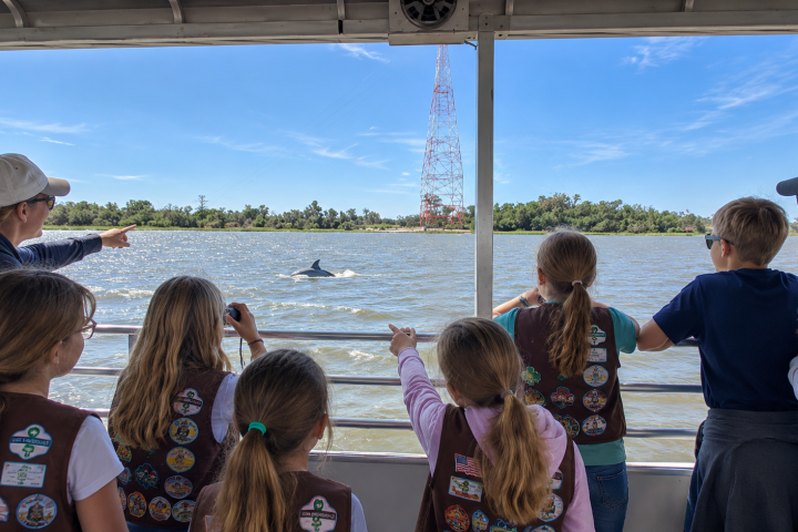 Group of children watching a dolphin from a ferry on a sunny day.