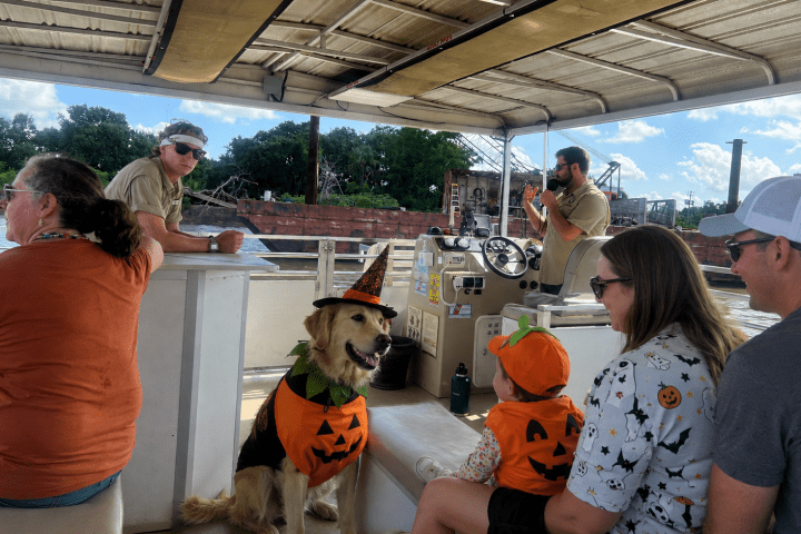 People and a dog in Halloween costumes on a boat.